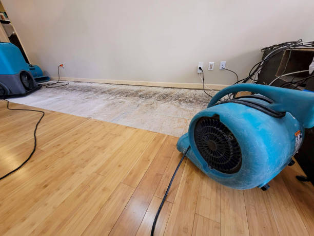 Professional Water Removal technician working in Dennysville, ME